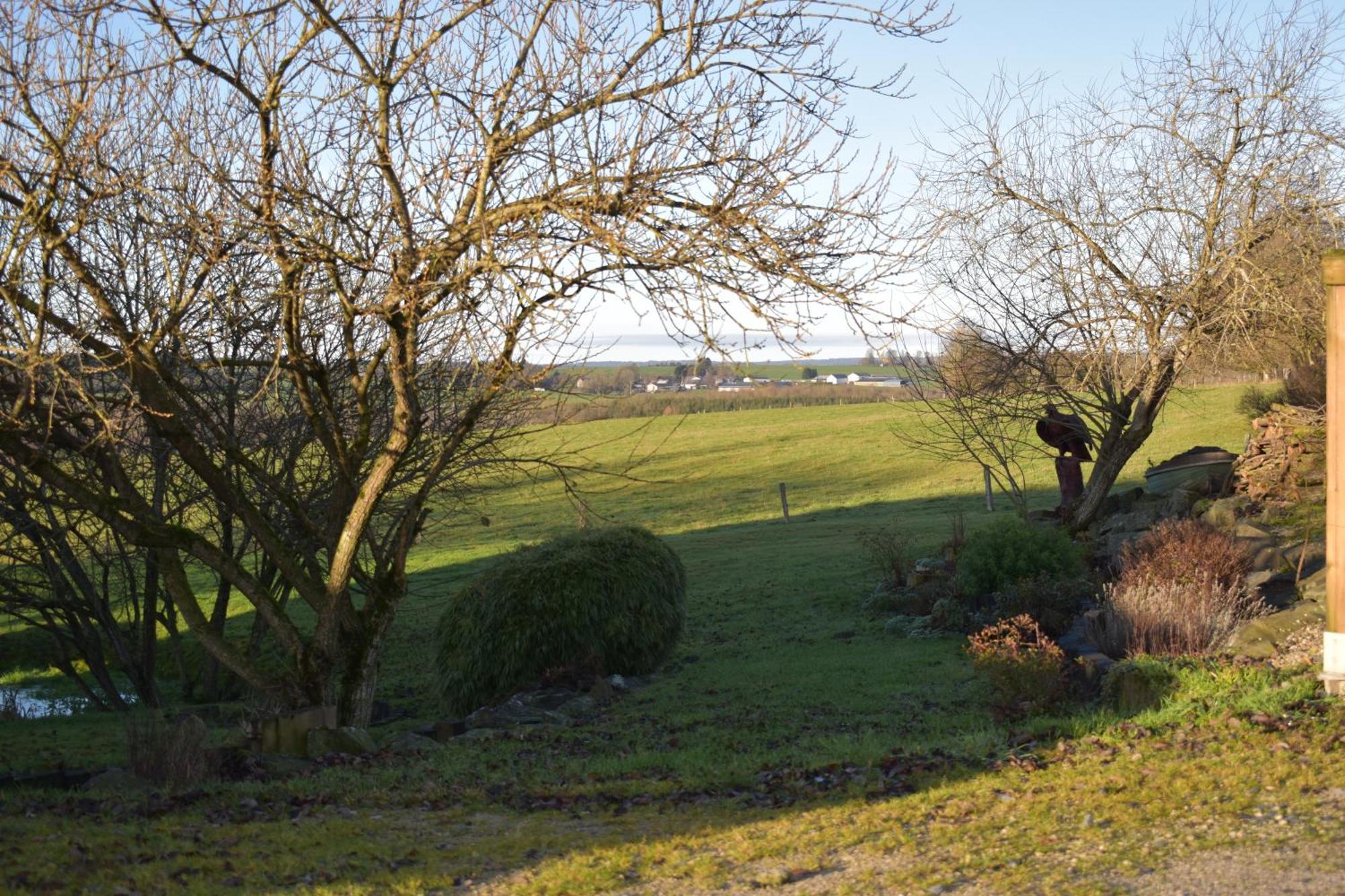 Gite Du Cheval Blanc Sainte-Ode Exterior photo
